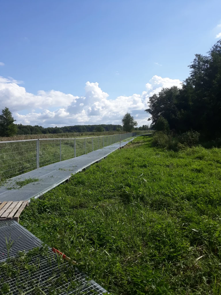 Suvirinimas, laiptai, tekinimas, medžio tekinimas, statyba