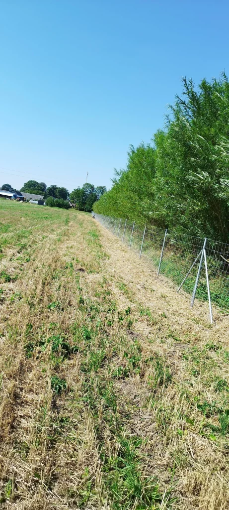 Suvirinimas, laiptai, tekinimas, medžio tekinimas