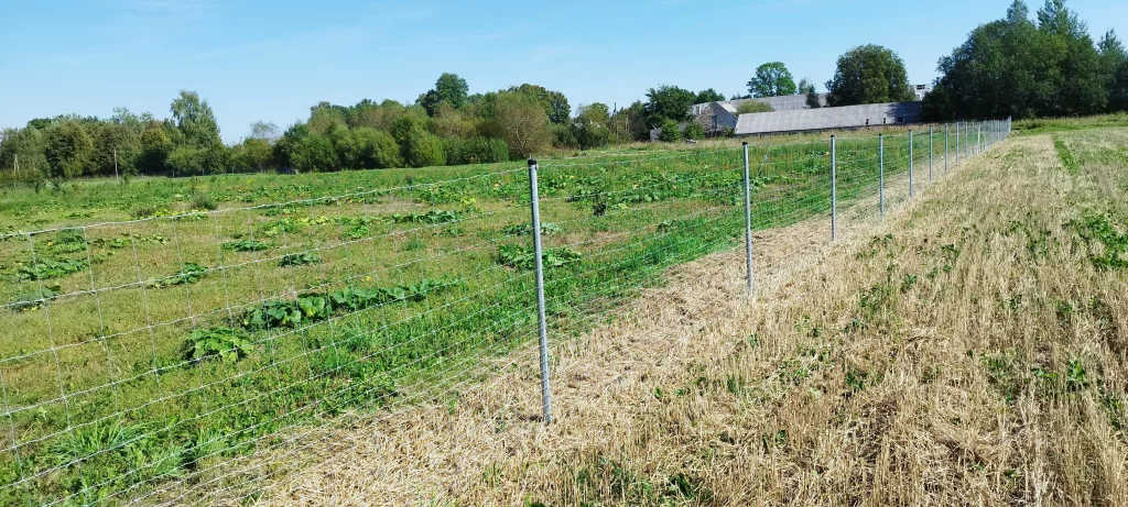 Suvirinimas, laiptai, tekinimas, medžio tekinimas